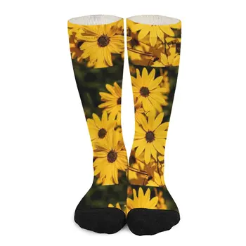 красивые желтые носки на фоне цветов маргаритки, детские носки, термоноски, мужские зимние чулки